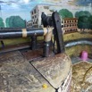 DSCF7180.jpg