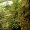 DSCF0056.jpg