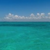 DSCF5388.jpg