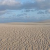 DSCF6641.jpg