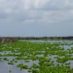 DSCF3689.jpg